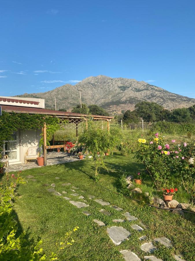 Villa Samothraki - sea, mountain, quiet Exterior foto